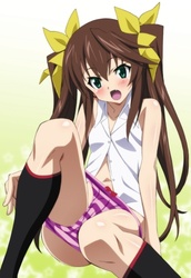 infinite_stratos_1s.jpg