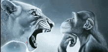 tiger-yelling-at-monkey-2130506954.gif
