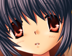 bro2.png